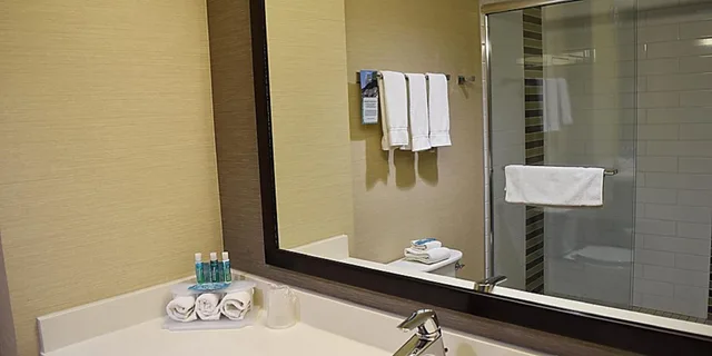 جناح بسرير كينج بإطلالة على الجبل، HOLIDAY INN EXPRESS GOLDEN KICKING HORSE 3/3