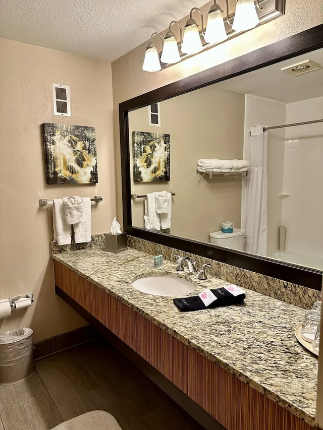 غرفة قياسية بسرير كينج بإطلالة على الجبل مع أريكة، Best Western Vista Inn 9/9