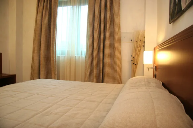 غرفة مفردة بسرير مزدوج، Hotel Parisi 1/8
