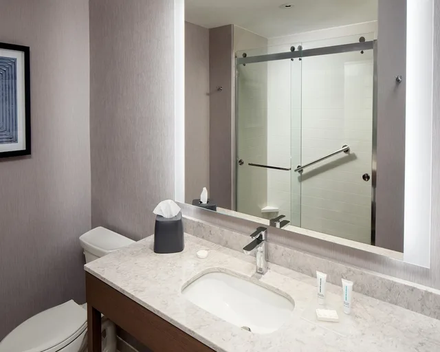 1 Bedroom, Plus, King Bed, Sofa, High Floor، Hyatt Place Harrisonburg 2/2
