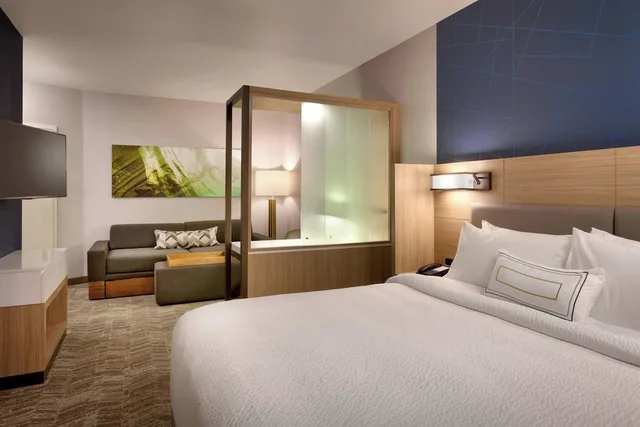 جناح بسرير كينج مع أريكة لذوي الإعاقة، SPRINGHILL SUITES IDAHO FALLS 1/9