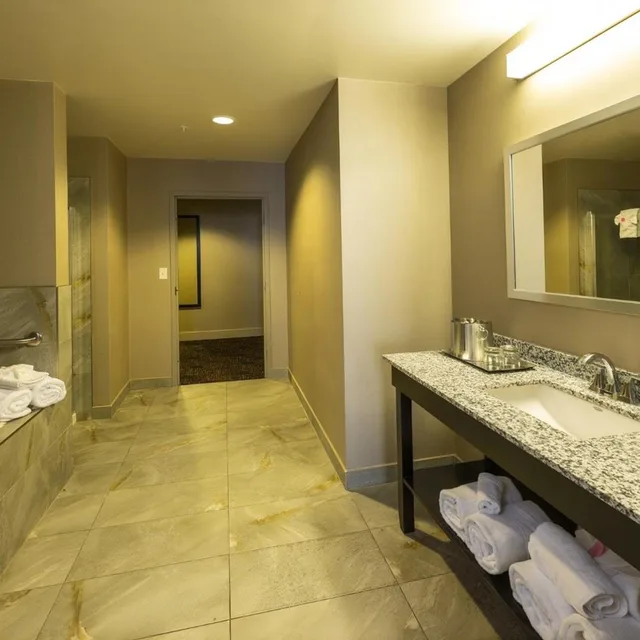 1 Bedroom, Premium, Suite, King Bed, Dining Area, Sofa، Radisson Hotel Edmonton Airport 8/9