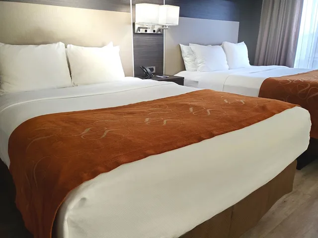 غرفة قياسية بسريرين كوين مع أريكة، Comfort Suites Northlake 1/4