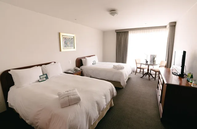 City, Double Bed، Bth Hotel Lima Golf Ex Libertador Lima 2/10