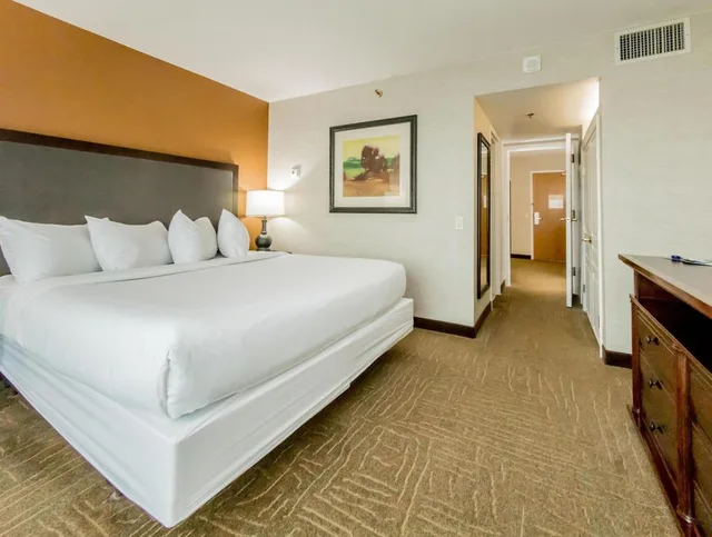 Suite, King Bed, Sofa, Accessible, Embassy Suites By Hilton Lexington Green 1/1