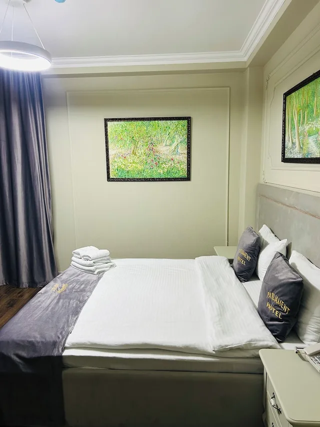 غرفة اقتصادية بسرير كينج بغرفة نوم واحدة، Parliament Hotel & Restaurant 5/10