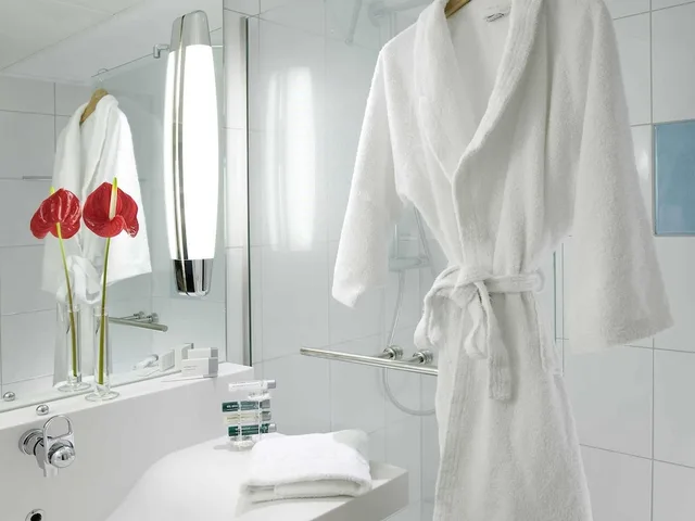 غرفة تنفيذية بسرير مزدوج مع أريكة، Novotel Roissy Saint-Witz 7/7