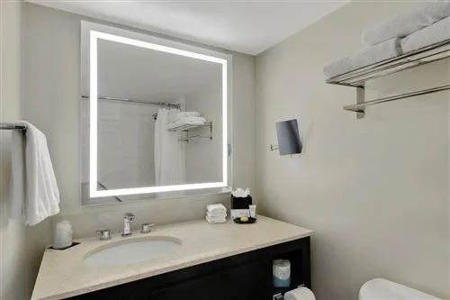 Room, King Bed, River View, Corner, Hotel Tampa Riverwalk 1/1