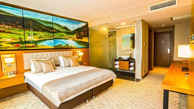 Deluxe, City View, Aselia Hotel Trabzon 2/2