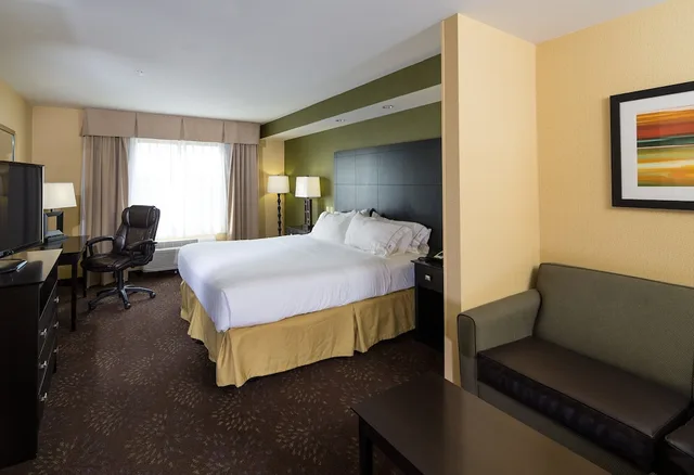 Suite, King Bed, Holiday Inn Express Hotel And Suites Detroit North Troy 3/3