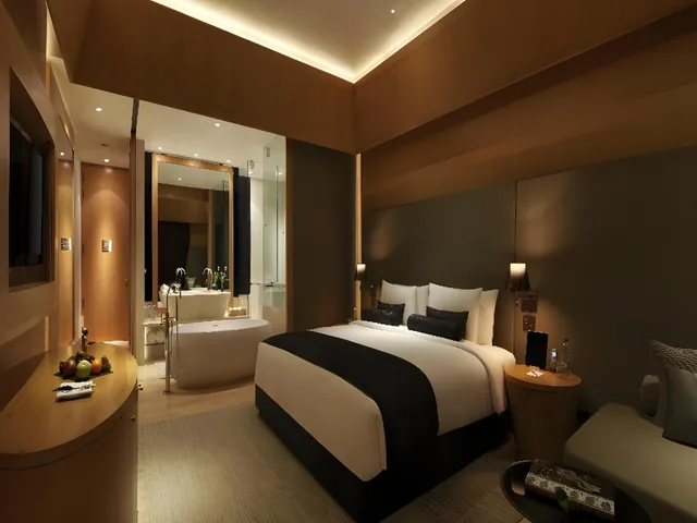 غرفة بريميوم، The Roseate New Delhi 1/2