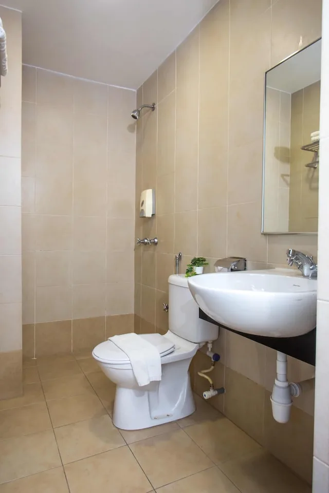 غرفة ديلوكس بسرير مزدوج، Swan Garden Hotel 3/3