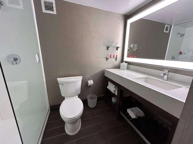جناح بسرير كينج مع أريكة بمنطقة جلوس، Skyline Hotel Detroit Airport, SureStay Collection by BW 5/5