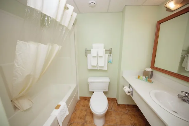 غرفة قياسية مفردة بسرير كينج مع أريكة، Service Plus Inns and Suites Calgary 3/3