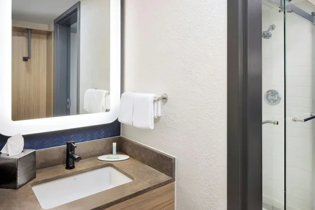 غرفة بسرير كينج مع أريكة لذوي الإعاقة، Fairfield Inn & Suites by Marriott Atlanta Vinings/Galleria 4/5