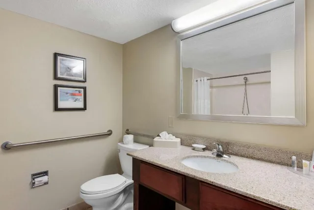غرفة بسرير كينج بحوض استحمام لذوي الإعاقة، Comfort Inn and Suites Tavares North 4/4