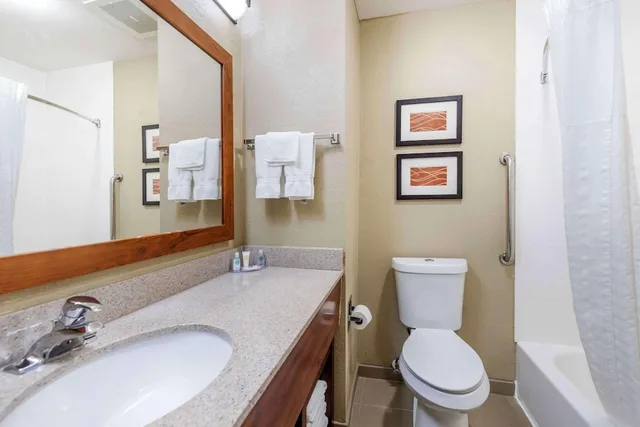 Room, Single, King Bed, Spark by Hilton Grain Valley Kansas City 2/2