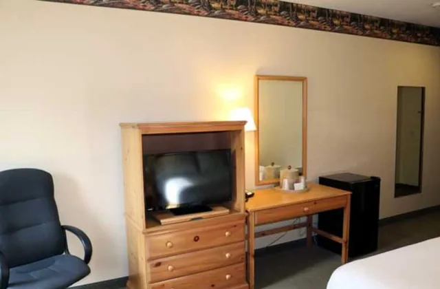 جناح بسريرين كوين وسريرين منفصلين، Pellston Lodge Magnuson Hotel 1/2