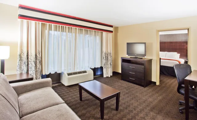 Mini, Suite, King Bed، Holiday Inn Express Hotel Suites Atlanta-Cumming 1/1