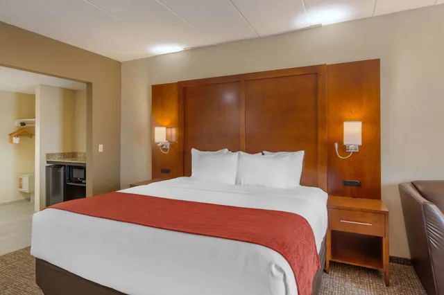 جناح استوديو بسرير كينج مع أريكة لذوي الإعاقة، Comfort Suites South Park 2/10