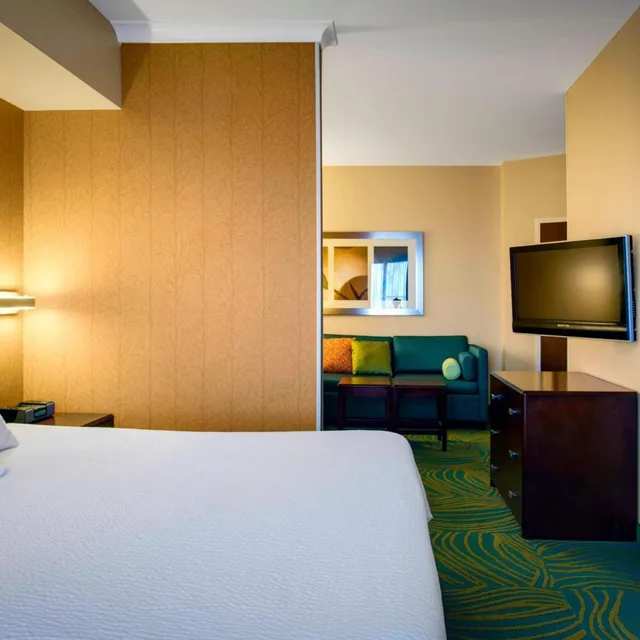 استوديو بسرير كينج مع أريكة بحوض استحمام لذوي الإعاقة، SpringHill Suites by Marriott Omaha East/Council Bluffs, IA 1/2