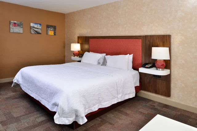 جناح استوديو بسرير كينج مع أريكة، Hampton Inn Wytheville 1/4