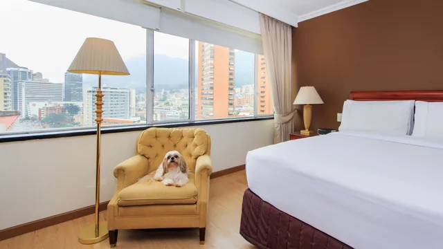 Master, King Bed, Tequendama Bogota 1/6