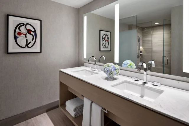 غرفة ديلوكس بسرير كينج بإطلالة على المدينة لذوي الإعاقة، THE RITZ-CARLTON CHICAGO 1/3