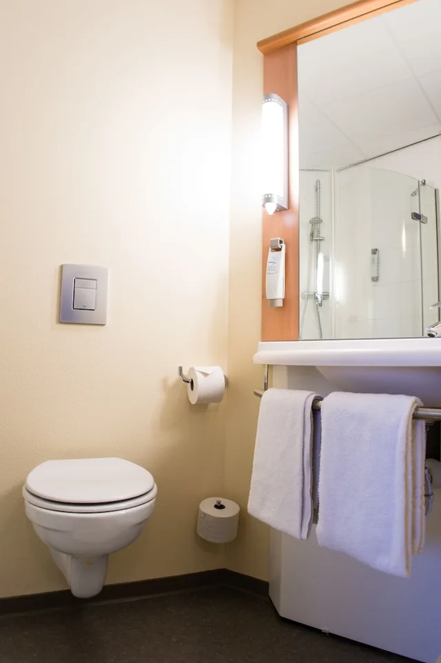 غرفة قياسية بسريرين منفصلين، IBIS LEIDEN CENTRE 8/10