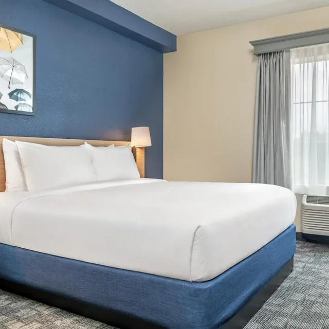 Room, King Bed, Partial View, Sofa, Accessible، Comfort Suites Elkridge Columbia Gateway 1/3