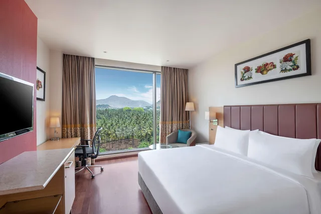 غرفة سوبيريور، Radisson Salem 1/3