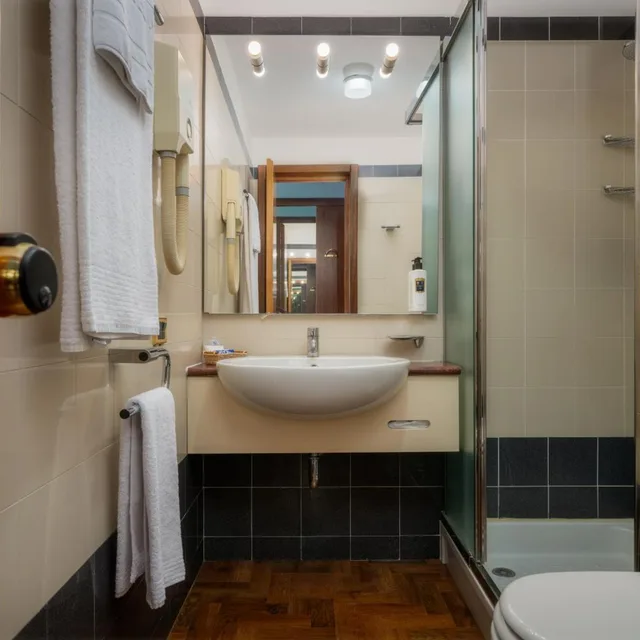 Room, Single, Hotel Crivis 8/16