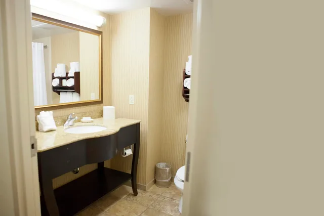 غرفة بسرير كينج لذوي الإعاقة، Hampton Inn Rochester Webster 4/4