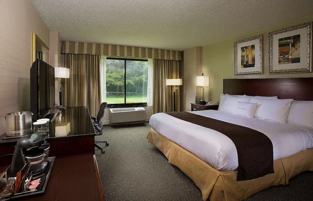 غرفة قياسية بسرير كينج، Doubletree By Hilton Charlotte Airport Hotel 2/5