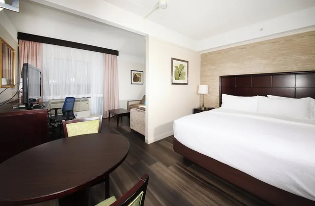 جناح بسرير كينج بمنطقة جلوس، Holiday Inn Suites Windsor Ambassador Bridge 2/6