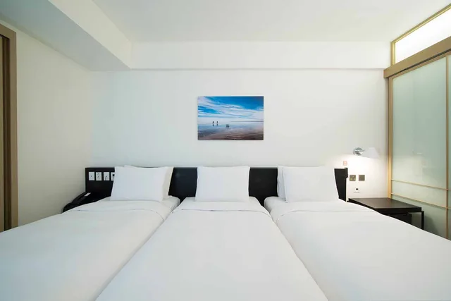 غرفة ديلوكس ثلاثية، Sotetsu Hotels The Splaisir Seoul Myeongdong 1/7