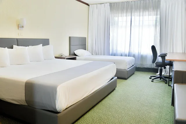 غرفة قياسية لذوي الإعاقة، Sicomoro Hotel 1/1