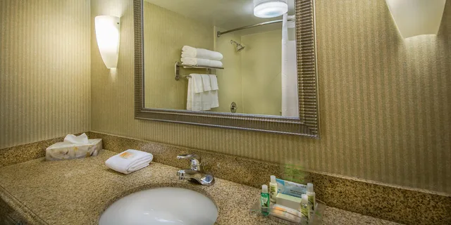 جناح بسرير كينج، Holiday Inn Arlington at Ballston, an IHG Hotel 2/4