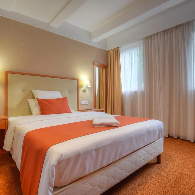 غرفة بسرير مزدوج، Anna Hotel Budapest 1/5