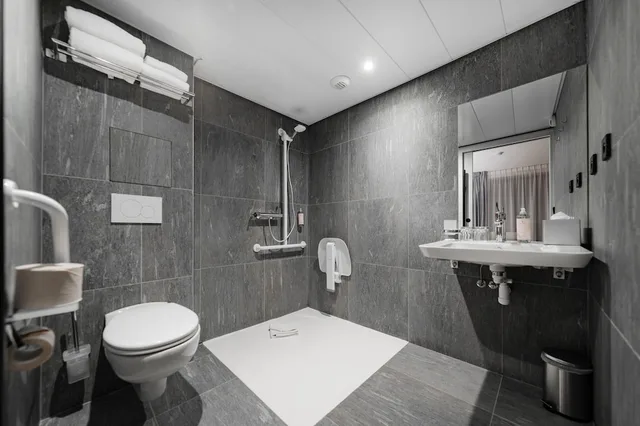 غرفة ديلوكس بسرير كوين، Green Park Hotel Paris 2/2
