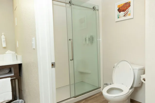 جناح بسرير كينج مع أريكة، Hampton Inn Hammond 2/2