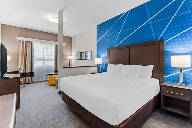 غرفة قياسية بسرير كينج، Comfort Inn & Suites Red Deer North 1/6