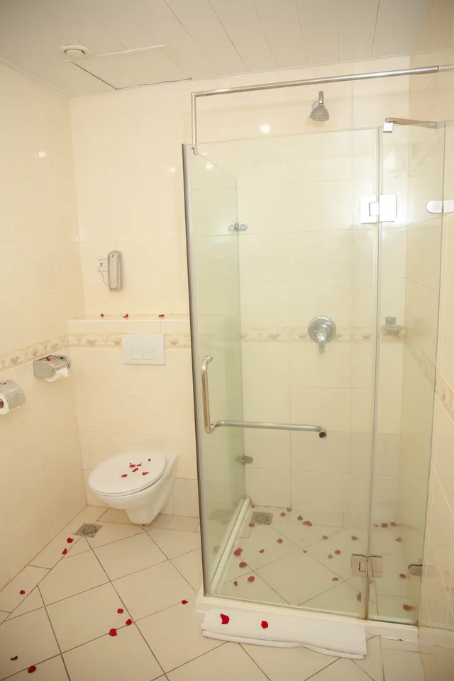 غرفة قياسية بسرير مزدوج بإطلالة على المدينة، Palace Hotel Arusha 3/3