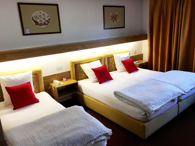 غرفة بسرير مزدوج، De La Foret Hotel 2/4