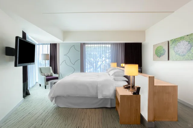 غرفة كبيرة بسرير كينج بإطلالة على الجبل، Sheraton San Jose Hotel Costa Rica 2/7