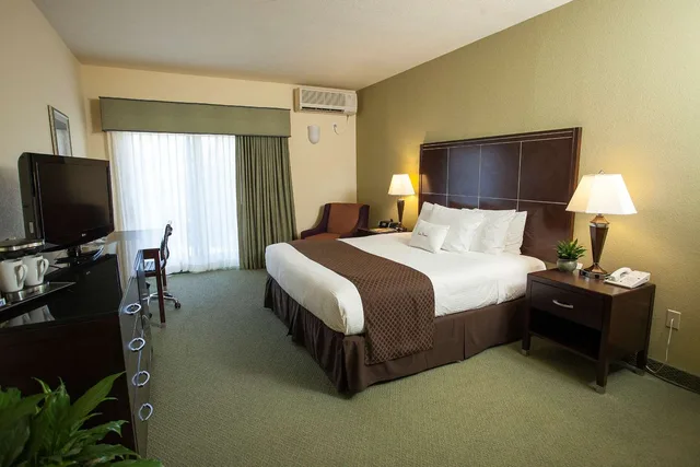 غرفة ديلوكس بسرير كينج، DoubleTree by Hilton Napa Valley American Canyon 1/1