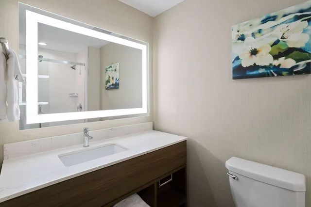 غرفة بسرير كينج، La Quinta Inn & Suites by Wyndham Locust Grove 9/10