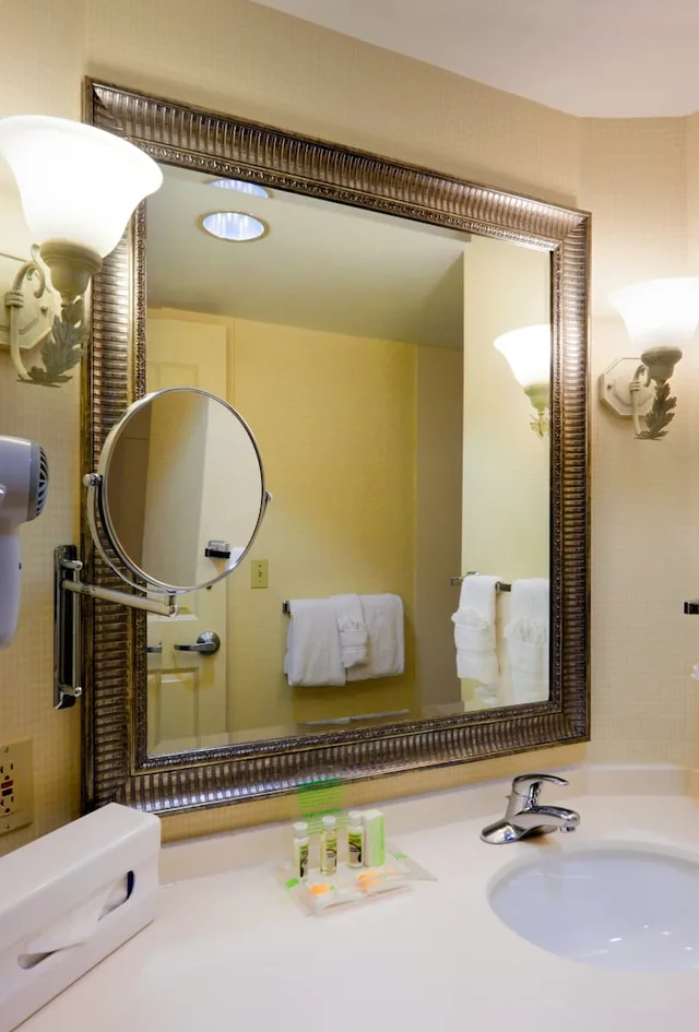 Standard, Single Bed, Holiday Inn Chantilly-Dulles Expo (Arpt) 1/1