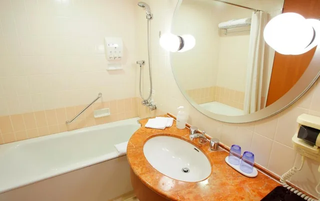 غرفة ديلوكس مزدوجة بإطلالة على الجبل لغير المدخنين (32 م²)، Grand Park Otaru 5/5