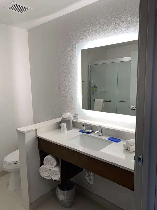جناح بسرير كينج مع أريكة، Holiday Inn Express Suites Denver Aurora Medical Campus 4/5